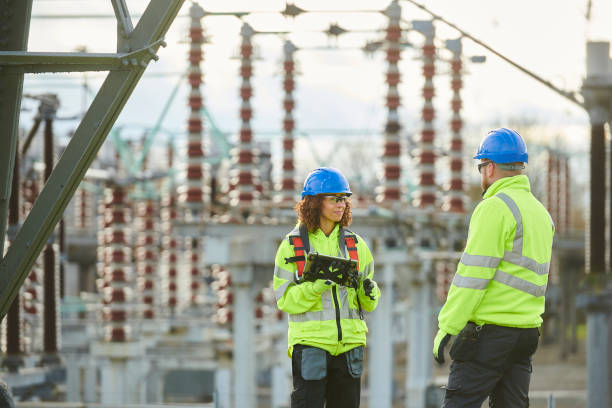 Best Generator Installation Services  in Palatka, FL