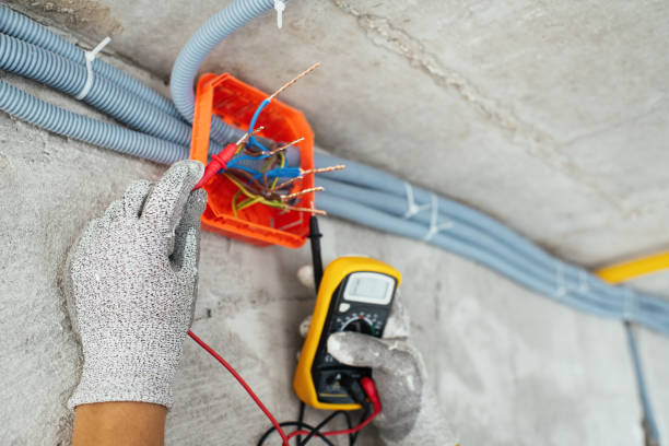 Best Ceiling Fan Installation Electrician  in Palatka, FL